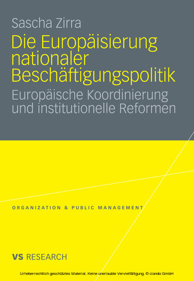 Die Europäisierung nationaler Beschäftigungspolitik main product photo