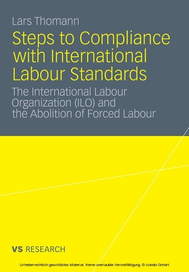 Steps to Compliance with International Labour Standards main product photo