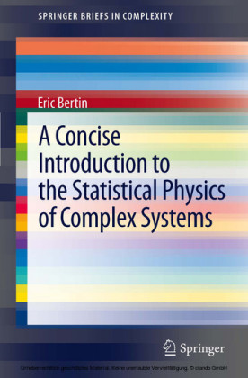 A Concise Introduction to the Statistical Physics of Complex Systems