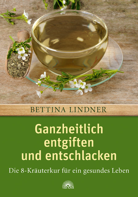 Ganzheitlich entgiften und entschlacken main product photo