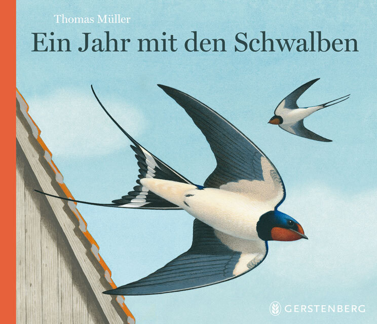 Ein Jahr mit den Schwalben main product photo