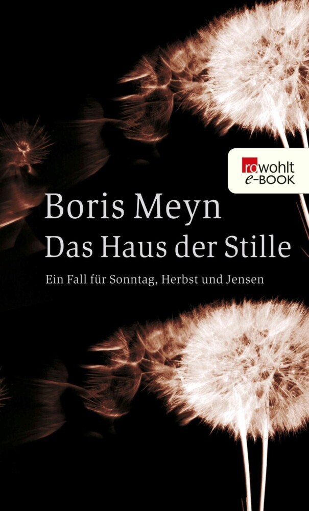 Das Haus der Stille main product photo