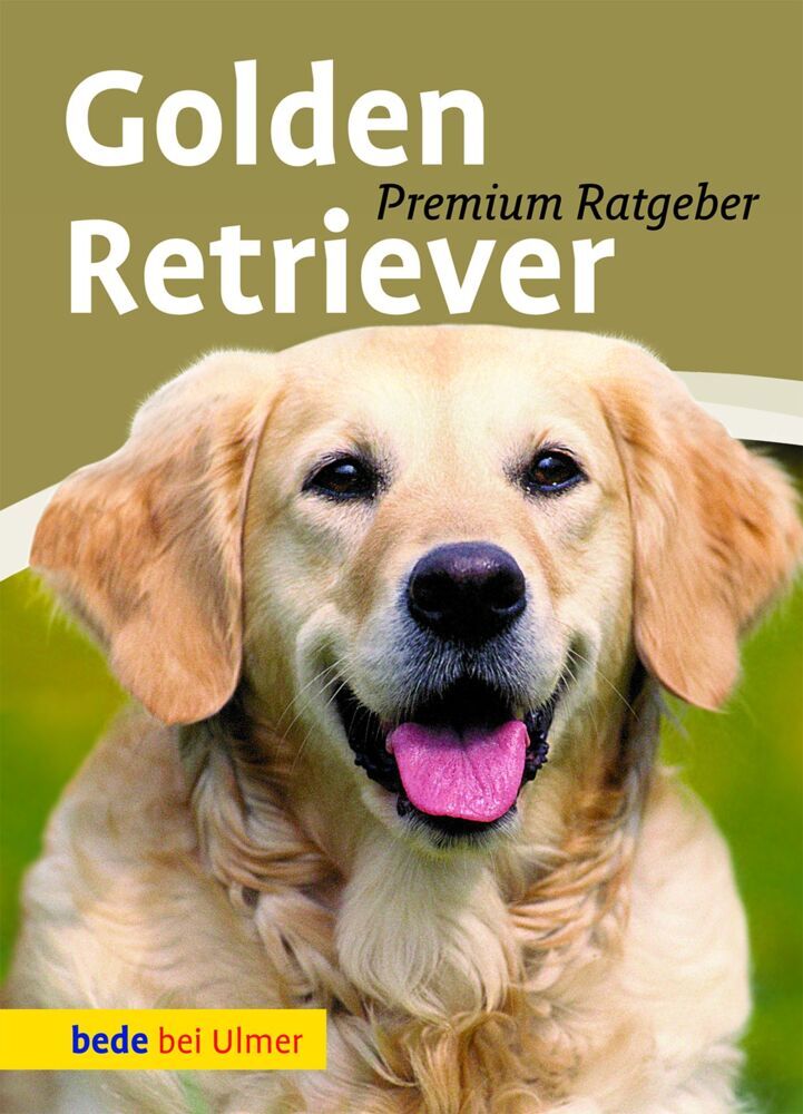Golden Retriever main product photo