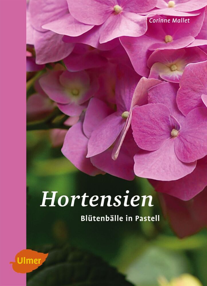 Hortensien main product photo