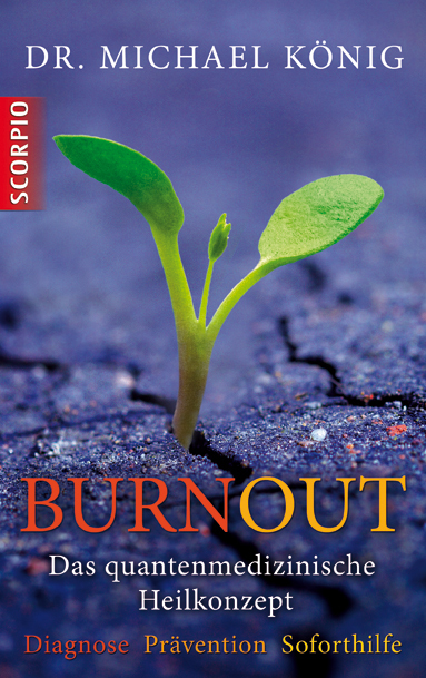 Burnout main product photo