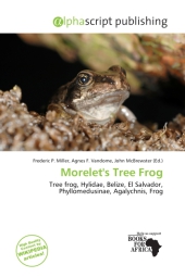 Morelet's Tree Frog