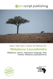 Melaleuca Leucadendra