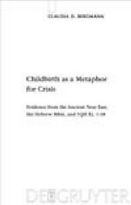 Childbirth as a Metaphor for Crisis main product photo