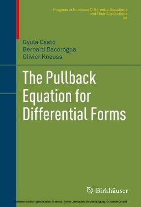 The Pullback Equation for Differential Forms