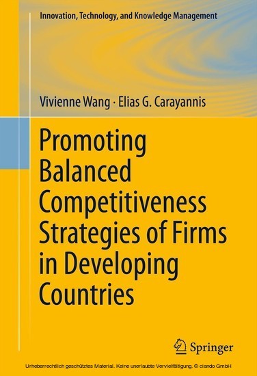 Promoting Balanced Competitiveness Strategies of Firms in Developing Countries main product photo