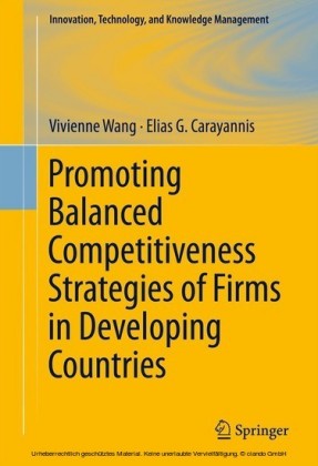 Promoting Balanced Competitiveness Strategies of Firms in Developing Countries