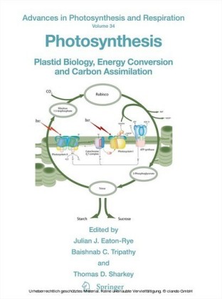 Photosynthesis