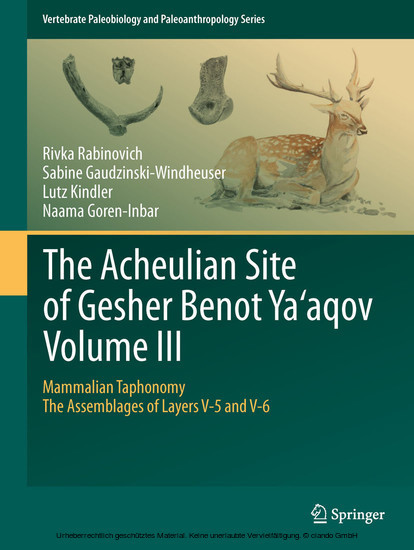The Acheulian Site of Gesher Benot Ya'aqov Volume III main product photo