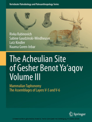 The Acheulian Site of Gesher Benot  Ya'aqov  Volume III
