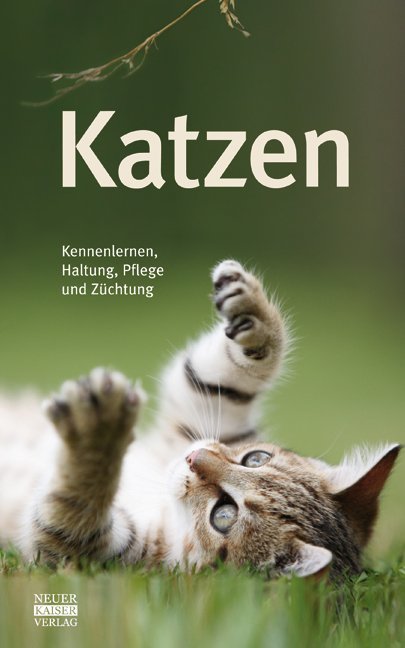 Katzen main product photo