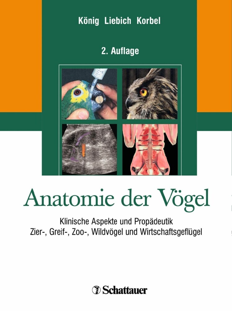 Anatomie der Vögel main product photo