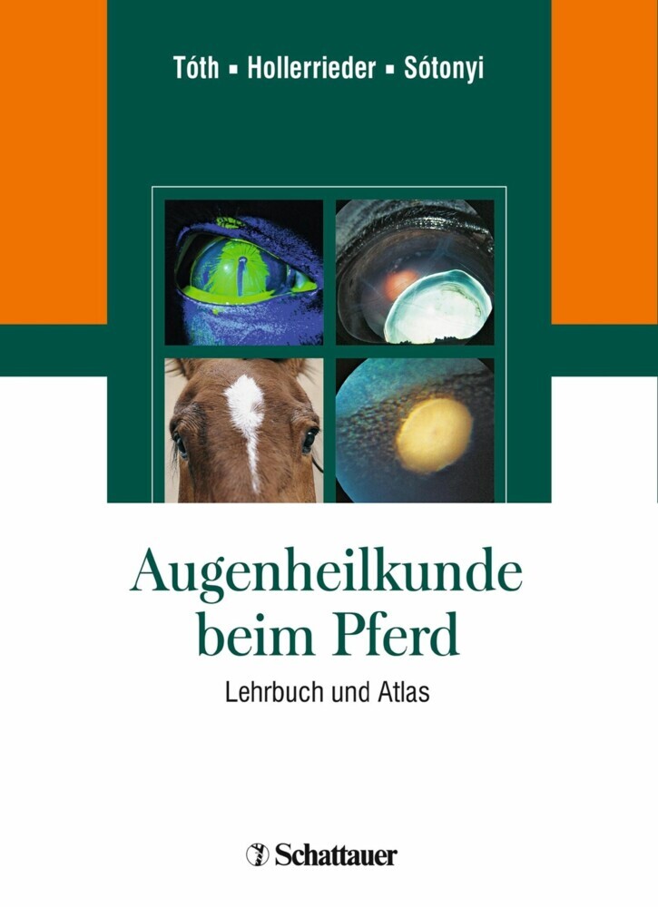 Augenheilkunde beim Pferd main product photo