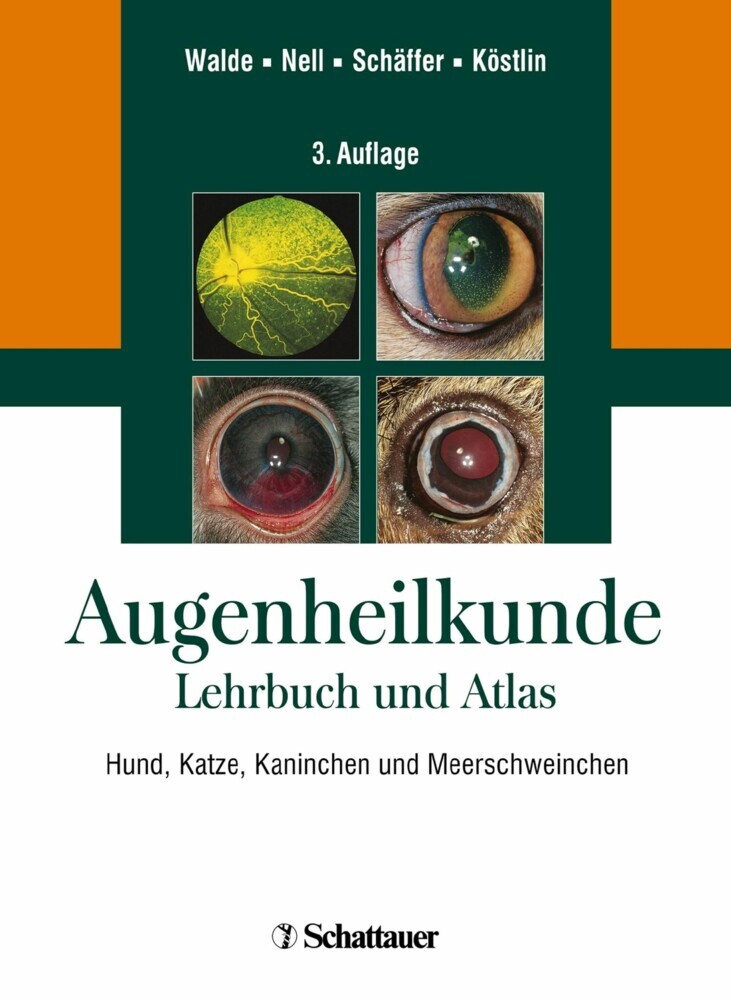 Augenheilkunde main product photo