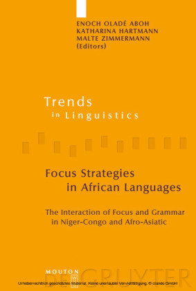 Focus Strategies in African Languages