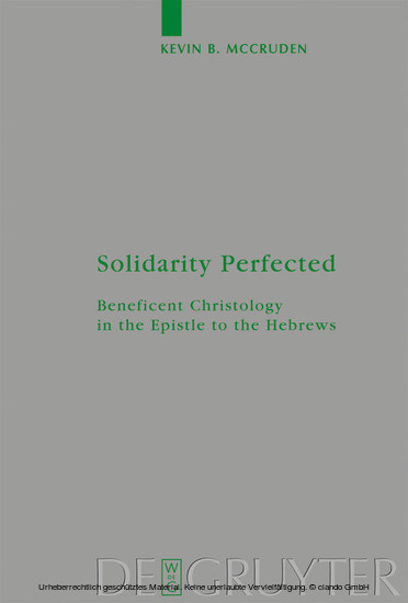 Solidarity Perfected main product photo