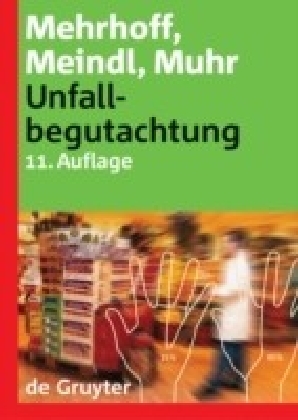 Unfallbegutachtung main product photo