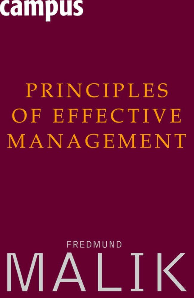 Principles of Effective Management main product photo
