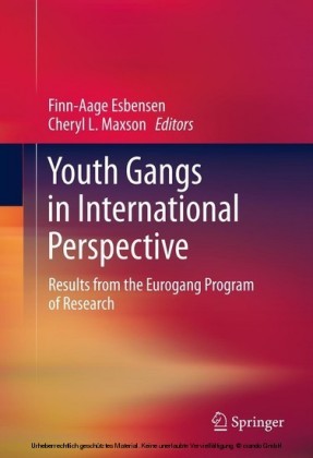 Youth Gangs in International Perspective