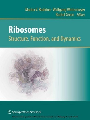 Ribosomes  Structure, Function, and Dynamics
