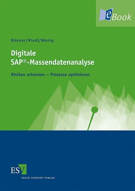 Digitale SAP®-Massendatenanalyse main product photo