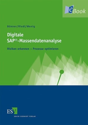 Digitale SAP®-Massendatenanalyse