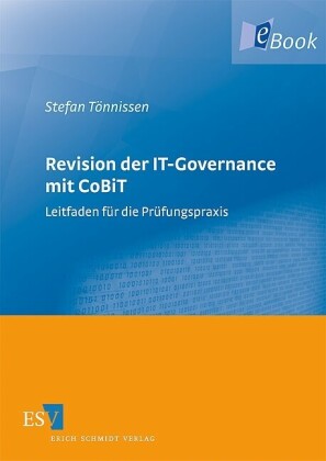 Revision der IT-Governance mit CoBiT