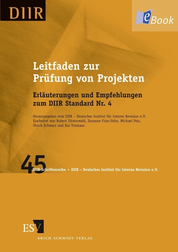 Leitfaden zur Prüfung von Projekten main product photo