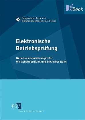 Elektronische Betriebsprüfung