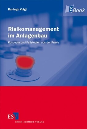 Risikomanagement im Anlagenbau