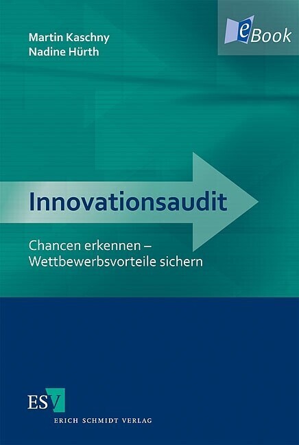 Innovationsaudit main product photo