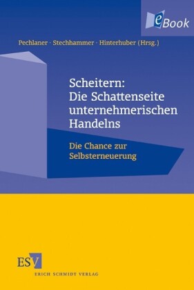 Scheitern: Die Schattenseite unternehmerischen Handelns