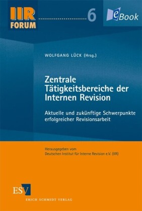Zentrale Tätigkeitsbereiche der Internen Revision