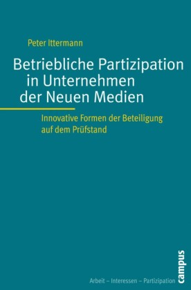 Betriebliche Partizipation in Unternehmen der Neuen Medien