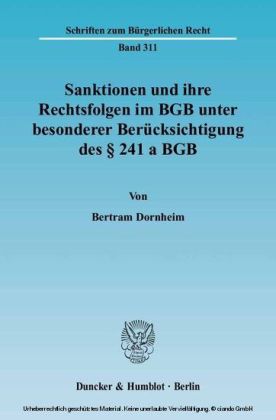 Sanktionen und ihre Rechtsfolgen im BGB unter besonderer Berücksichtigung des 241 a BGB. main product photo