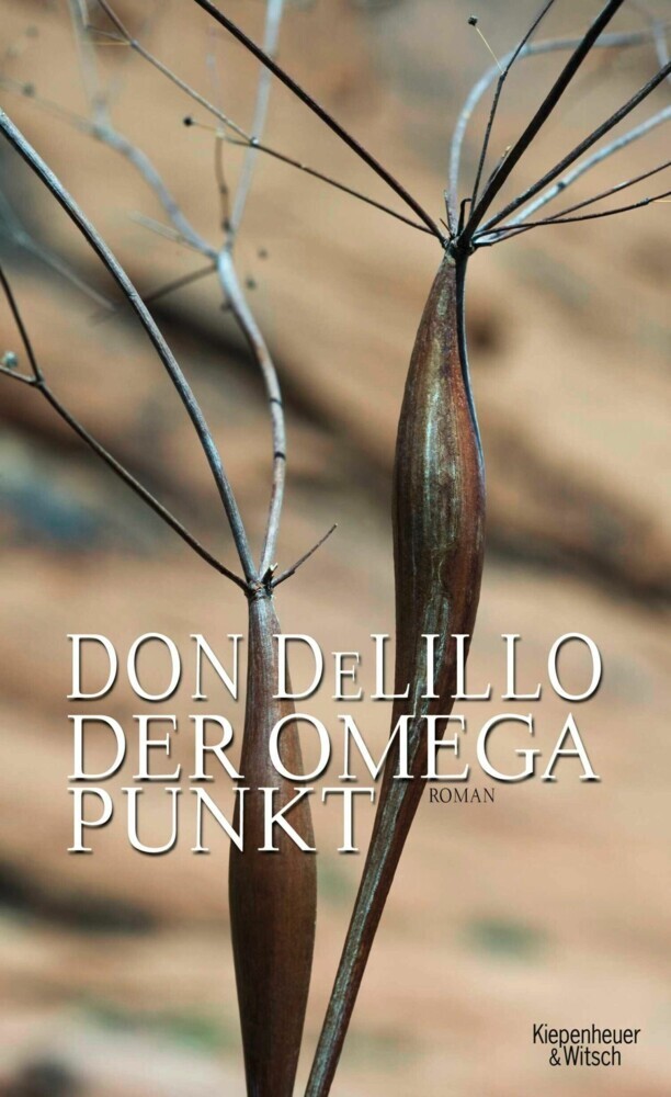 Der Omega-Punkt main product photo