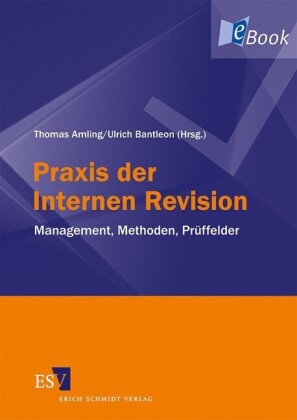 Praxis der Internen Revision