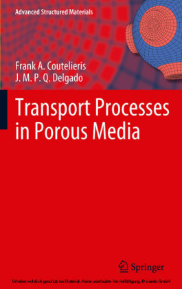 Transport Processes in Porous Media