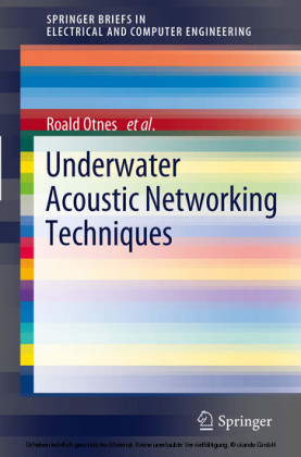 Underwater Acoustic Networking Techniques