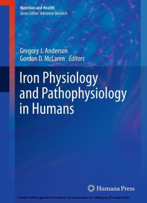 Iron Physiology and Pathophysiology in Humans