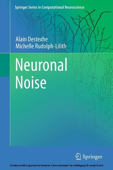Neuronal Noise main product photo