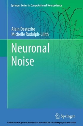 Neuronal Noise