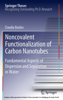 Noncovalent Functionalization of Carbon Nanotubes