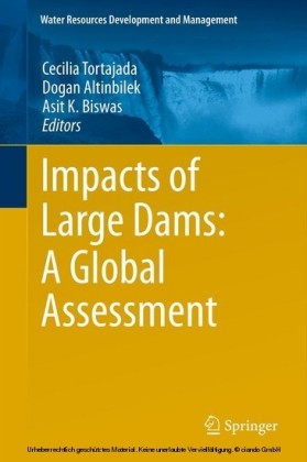 Impacts of Large Dams: A Global Assessment