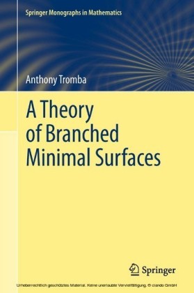 A Theory of Branched Minimal Surfaces