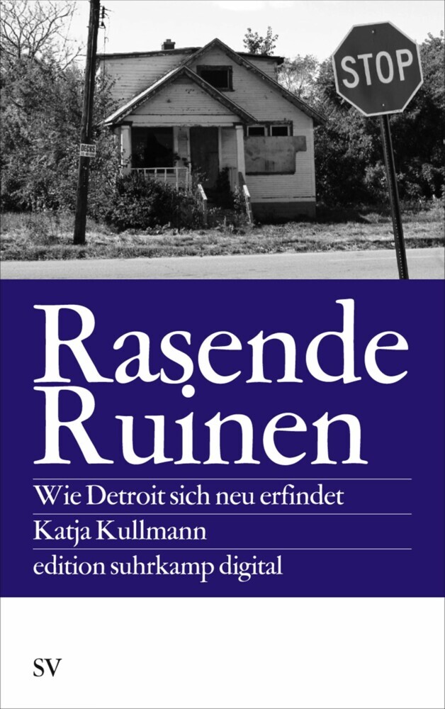 Rasende Ruinen main product photo
